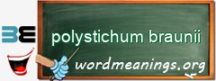 WordMeaning blackboard for polystichum braunii